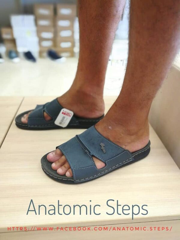 Anatomic Steps