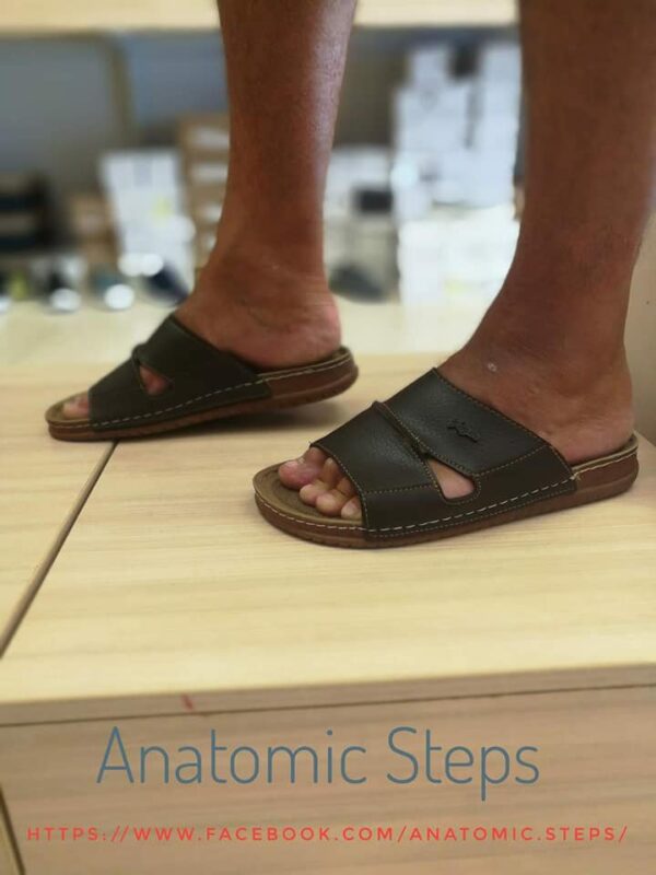 Anatomic Steps