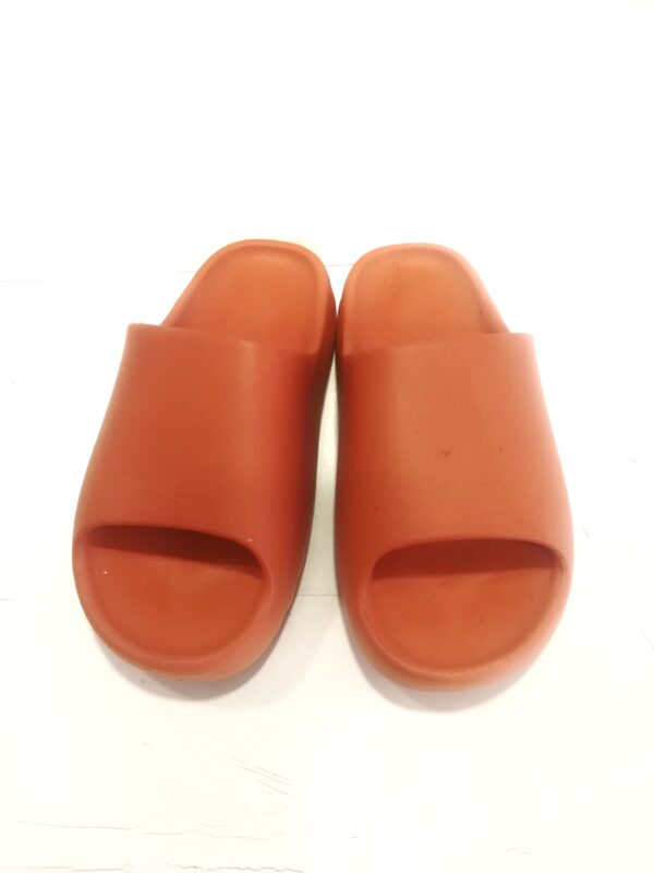 Anatomic Steps